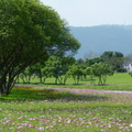 2015福山植物園