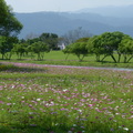 2015福山植物園