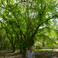 2016福山植物園