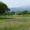 2015福山植物園