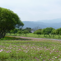 2015福山植物園