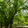 2016福山植物園