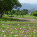 2015福山植物園