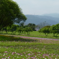 2015福山植物園