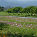 2015福山植物園