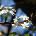 2020.2月.植物園