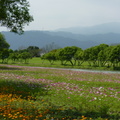 2015福山植物園