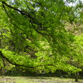 2016福山植物園