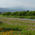 2015福山植物園