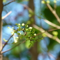 2017植物園