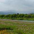 2015福山植物園