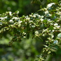 2016福山植物園