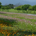 2015福山植物園