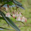 2022.05.08新生園區