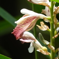 2023.03-06月.植物園