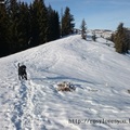 瑞士的朋友和黑色大型雪納瑞犬-冬天-0７