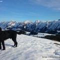 瑞士的朋友和黑色大型雪納瑞犬-冬天-0８