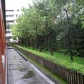 2013年4月13日雨中造訪台北行天宮-49