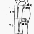 ○【蠡溝】（肝經）：小腿內側面，內踝尖直上5寸。

○【中都】（肝經，郄穴）：小腿內側面，內踝尖直上7寸。[治傳染性肝炎（B肝等）]

○【膝關】（肝經）： 
小腿內側，在膝蓋骨下內側陷中，與犢鼻平，相去 2寸（或云 3寸）。當陰陵泉後1寸凹陷處。下直中都，相距5寸。

