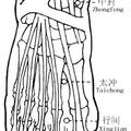 ○【太敦】（肝經）：
足大趾，趾甲外側緣。加下面
足大趾，趾甲廓外側角後旁1分凹陷處。

○【行間】（肝經）：
足大指、次指合縫後5分。

○【太沖】（肝經）：
脚拇趾与第二趾間，凹沟尽头，就是肝经的太冲穴。
足大趾、次趾合縫後上2寸陷中。
	

。【中封】（肝經）：
腳拇趾上翘，足背可见一大筋，其内侧、足内踝前下方凹陷处，即是中封穴。
在足內踝之前1.5寸陷者中。
在足背侧，当足内踝前，商丘与解溪连线之间。
合縫後上2寸陷中。