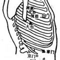 3個重要的穴位：
1.【章門】（肝經，八會穴-「臟會」，脾募穴）：
側腹部第十一肋游離端下方。…「季脇端」
…當上肢合腋屈肘、以手中指點著耳垂時，取肘尖盡處。[章門治肝硬化、肝脾腫大、肝炎、腸炎、消化不良、痞塊病)]
2.【京門】（屬膽經，又是腎經募穴）
3.【帶脈穴】（屬膽經，與帶脈交會穴）