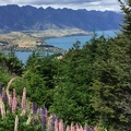 紐西蘭遊記 - 開往天堂的路 - 11