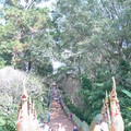 泰北雙龍寺