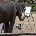 大象現場作畫表演