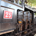 森鐵SL-25蒸汽火車頭