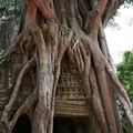 【2011柬埔寨行】大吳哥城(Angkor Thom) 變身塔(Pre Rup) - 7