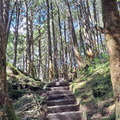 太平山翠峰湖環山步道