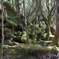 太平山翠峰湖環山步道