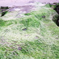 老梅彩繪社區和海岸綠石槽