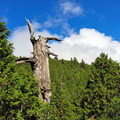 太平山翠峰湖環山步道