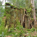 八仙山風華