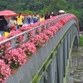 花橋