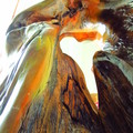 台中東勢有一林業文化園區
收納許多木雕 值得一遊

已刊文章: 神木巧雕非凡藝