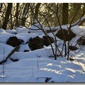 雪景 2013 - 1