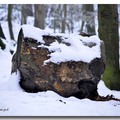 雪景 2013 - 16