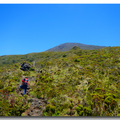 葡萄牙-Pico Island