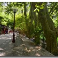 法國-Fontaine de Vaucluse山泉村