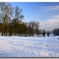 雪景 2013 - 1