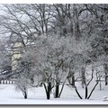 雪景 2013 - 16