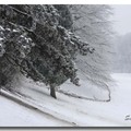 雪景 2013 - 43