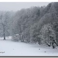 雪景 2013 - 44