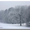 雪景 2013 - 45