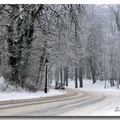 雪景 2013 - 46