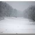 雪景 2013 - 50