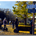 日本東京昭和紀念公園