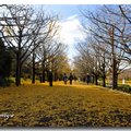 日本東京昭和紀念公園